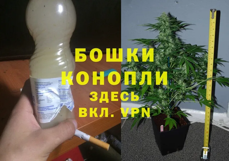 ссылка на мегу как зайти  хочу   Козьмодемьянск  Канабис Bruce Banner 